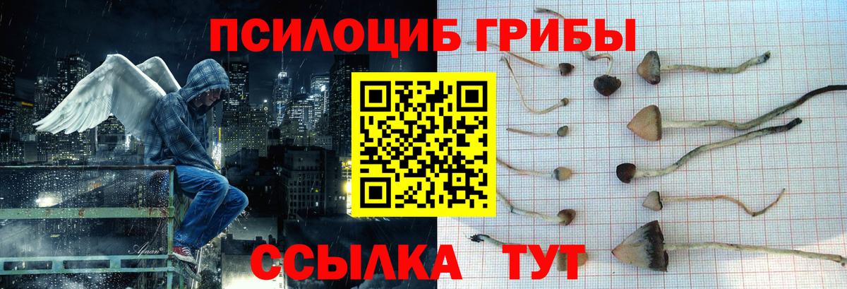 Псилоцибиновые грибы Cubensis  Псилоцибиновые грибы Magic Shrooms  Юрга  Вход с VPN 